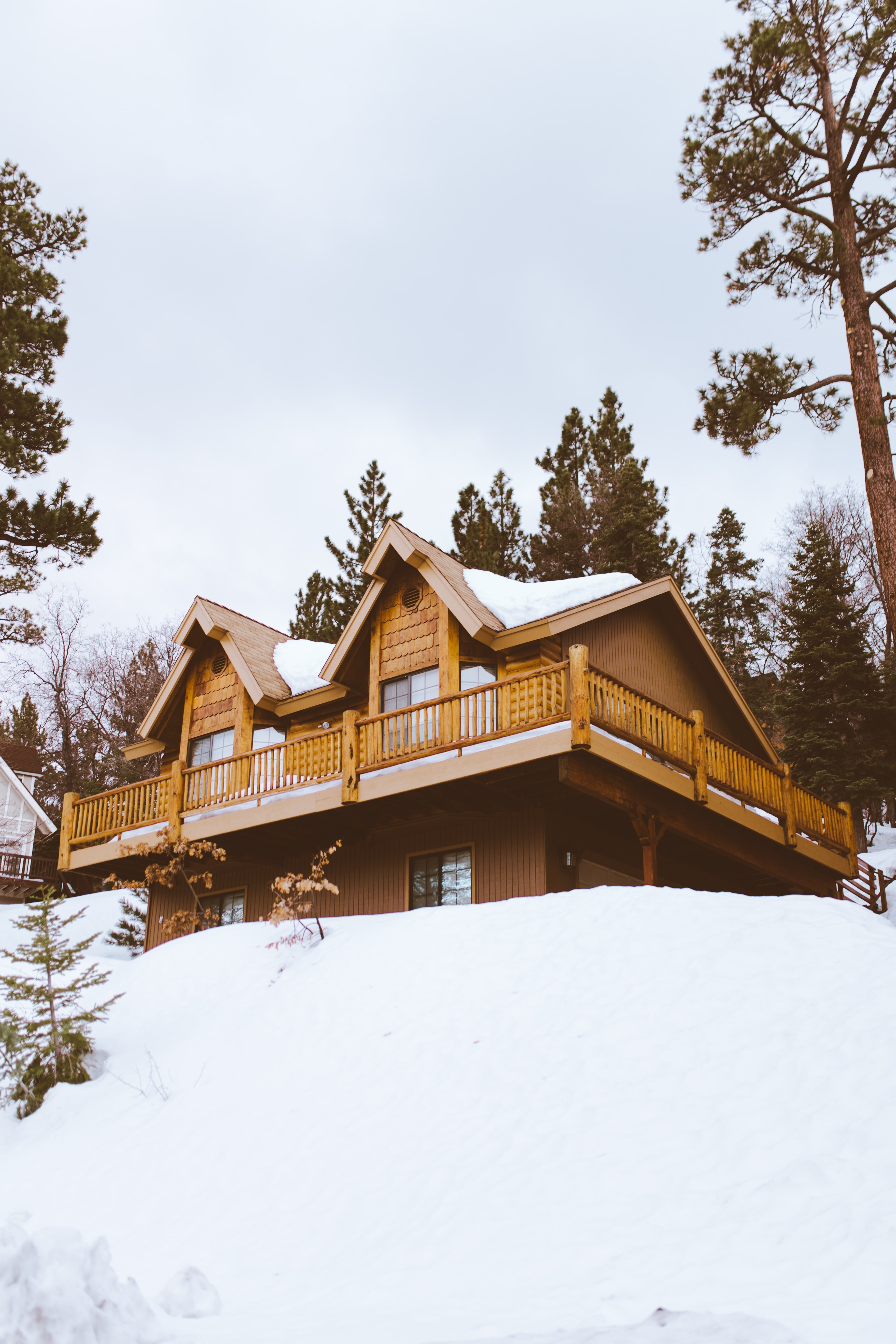 Cottage in Winter